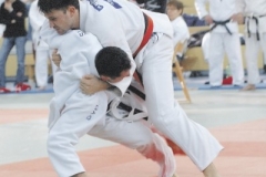 Judo_kaempfe_ (38)