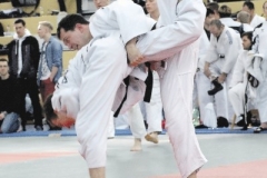 Judo_kaempfe_ (41)