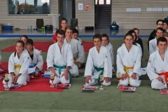 Judo_kaempfe_ (45)
