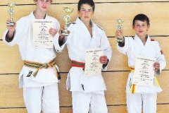Judo_kaempfe_ (52)